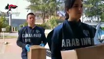 Carabinieri NAS Reggio Calabria sequestro gel igienizzante