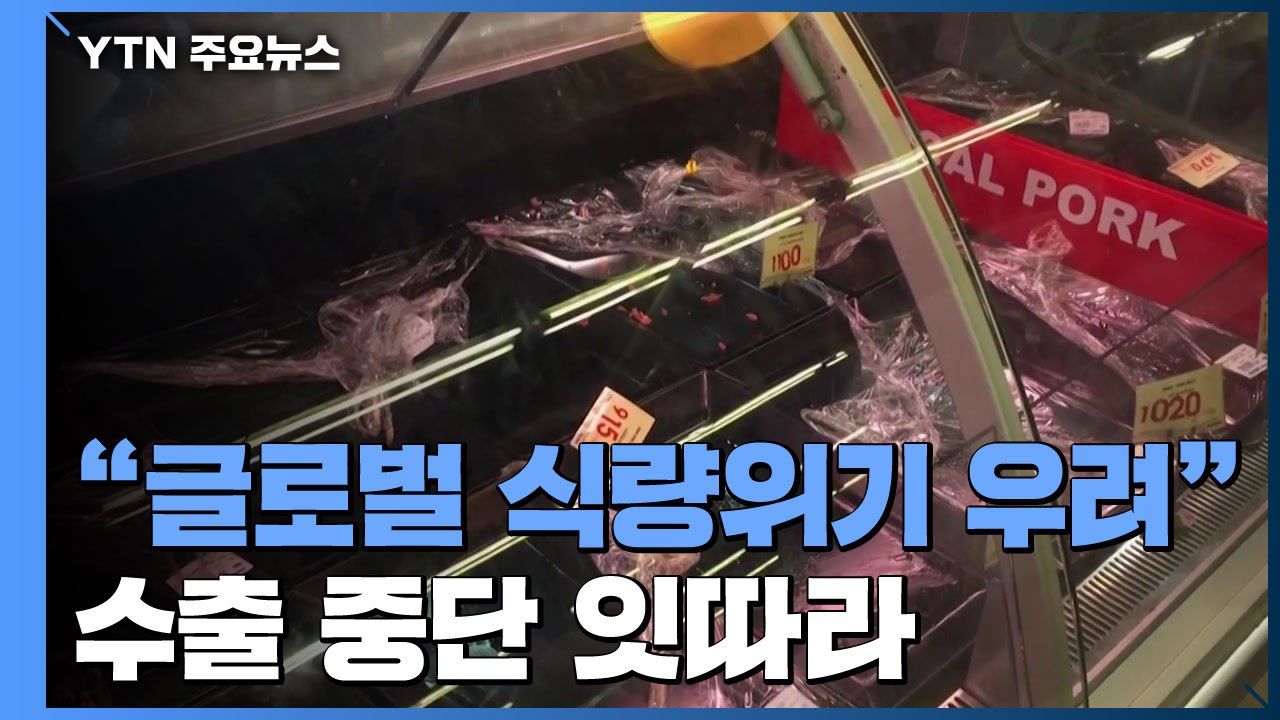 "4~5월 글로벌 식량 위기 우려"...식량 수출 중단 잇따라 / YTN