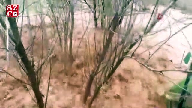 Şanlıurfa kırsalını sel vurdu