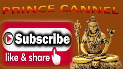 भज गोविन्दम भज गोविंद का नाम रे; MELODY KRISHNA BHAKTI  BHAJAN, Prince channel presentation