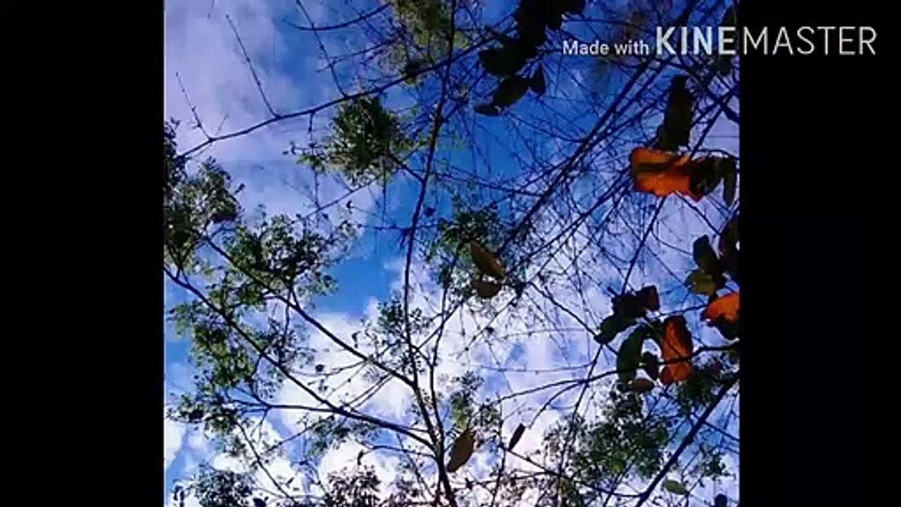 Corona viruse in hindi | korona viruse vidio song | corona viruse song downlod