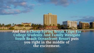 Cheap Spring Break Trips For College Students And Family|Best Cheap Spring Break Destinations