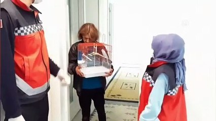 Yaşlı teyzenin muhabbet kuşu isteğini belediye ekipleri karşıladı - İZMİR