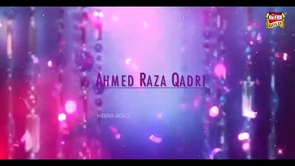 Hafiz Ahmed Raza Qadri I Mere Aqa Mujhe Tanha Nahi Rehne Detey I New Naat