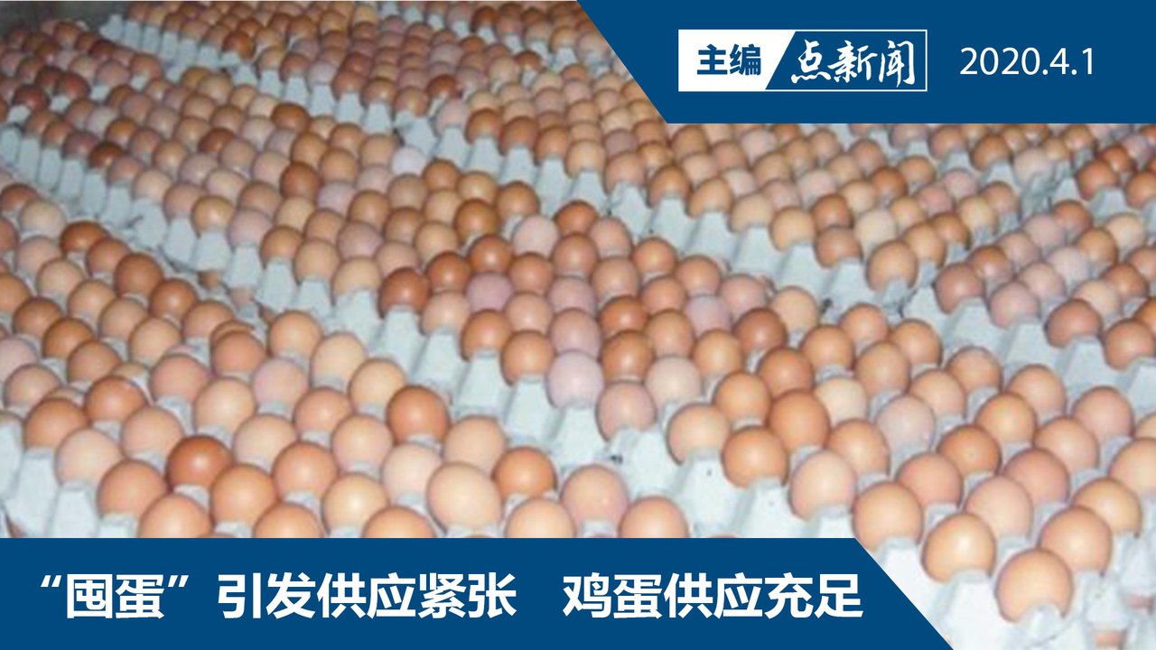 鸡蛋若成臭蛋，浪费资源和金钱【主编点新闻 | 2020/4/1】