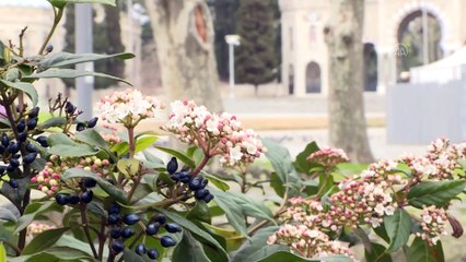'İstanbul'un Meydanları'nda 'koronavirüs sessizliği'