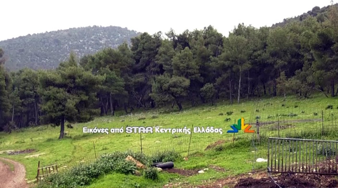 Στα αζήτητα χιλιάδες αμνοερίφια για το Πάσχα