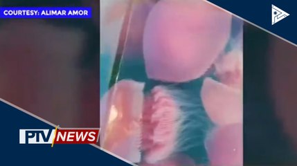 Bahagi ng dagat sa Coron, Palawan, napuno ng jellyfish