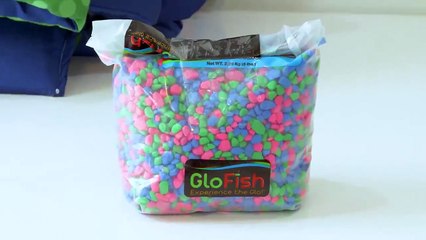 How to Filter Water DIY Science Experiments for Kids