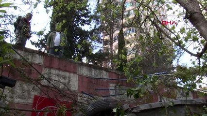 Evinin bahçesine otomobil düşen ev sahibi: Korkudan köpeğimin rengi değişti