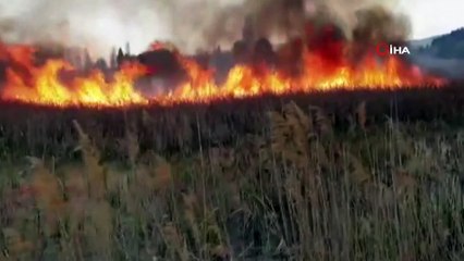 Sazlık alan alev alev yandı