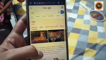 How to view Google 3D AR animals