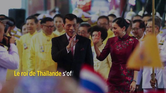 Le roi de Thaïlande s'offre un confinement de luxe avec son harem