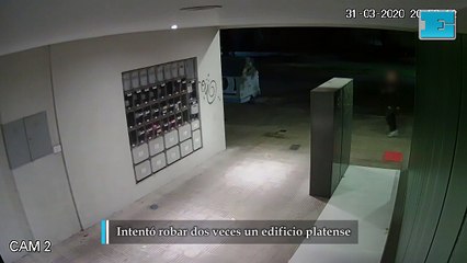 Lo vieron, se fue, volvió, intentó robar otra vez pero desistió y todo quedó filmado