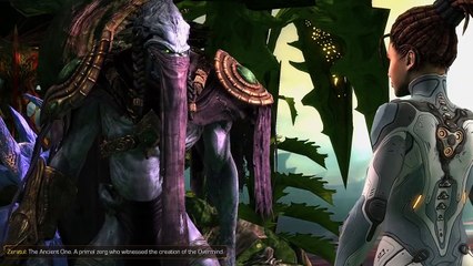 Heart of the Swarm Plot Analysis: Zerus