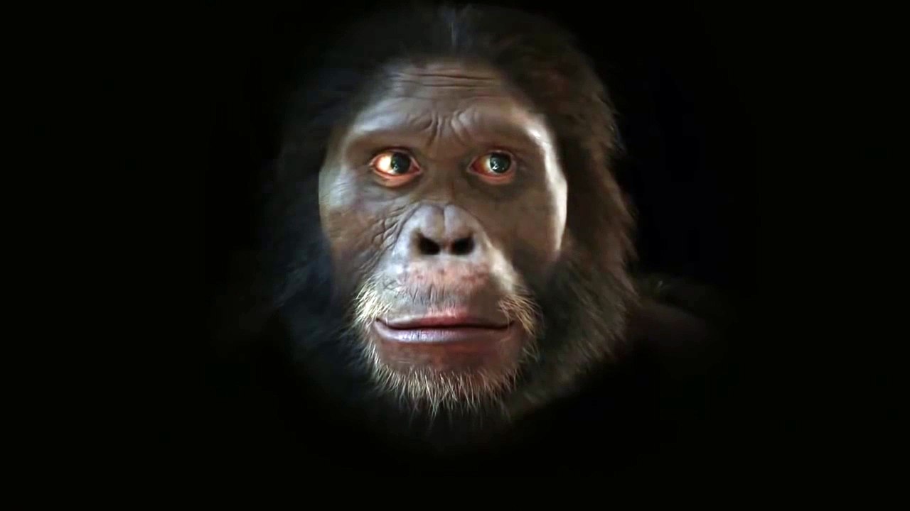 On The Shoulders Of Giants