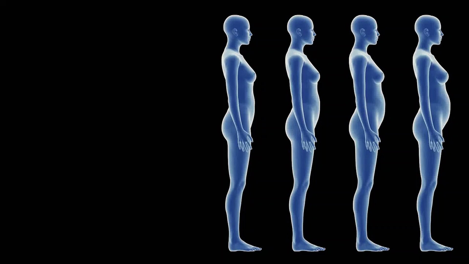 ⁣Intro to Sessions Pregnancy - Basic Anatomy and Physiology of Pregnancy