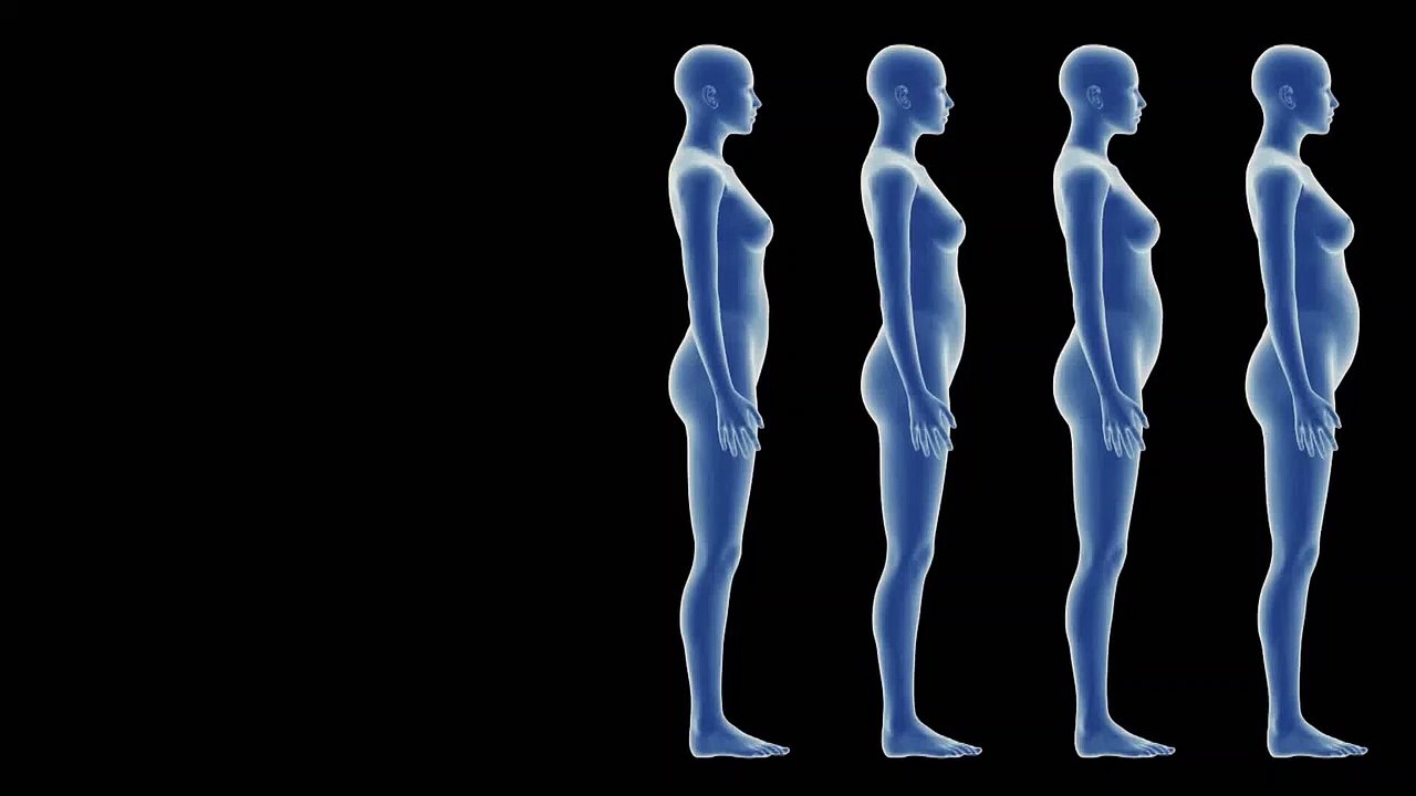 Intro to Sessions Pregnancy - Basic Anatomy and Physiology of Pregnancy
