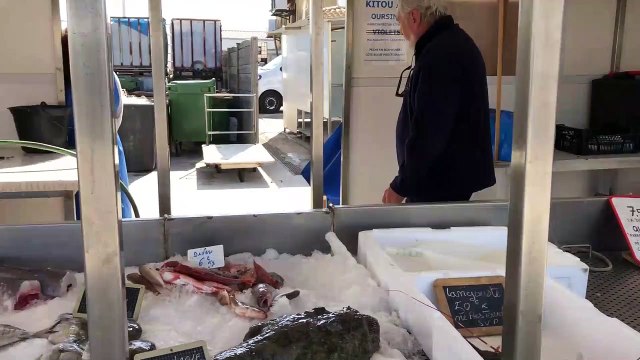 Les pêcheurs professionnels victimes de la crise