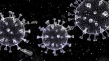 U.S. Coronavirus Deaths May Peak Mid-April