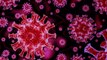 Coronavirus Cases Top 800,000 Worldwide