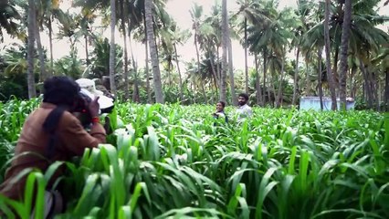 Vaanam Kottattum - Movie Leaf Spotlight