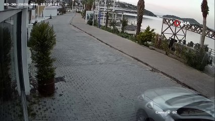 Otomobiliyle çarptığı köpeği ölüme terk edip böyle kaçtı