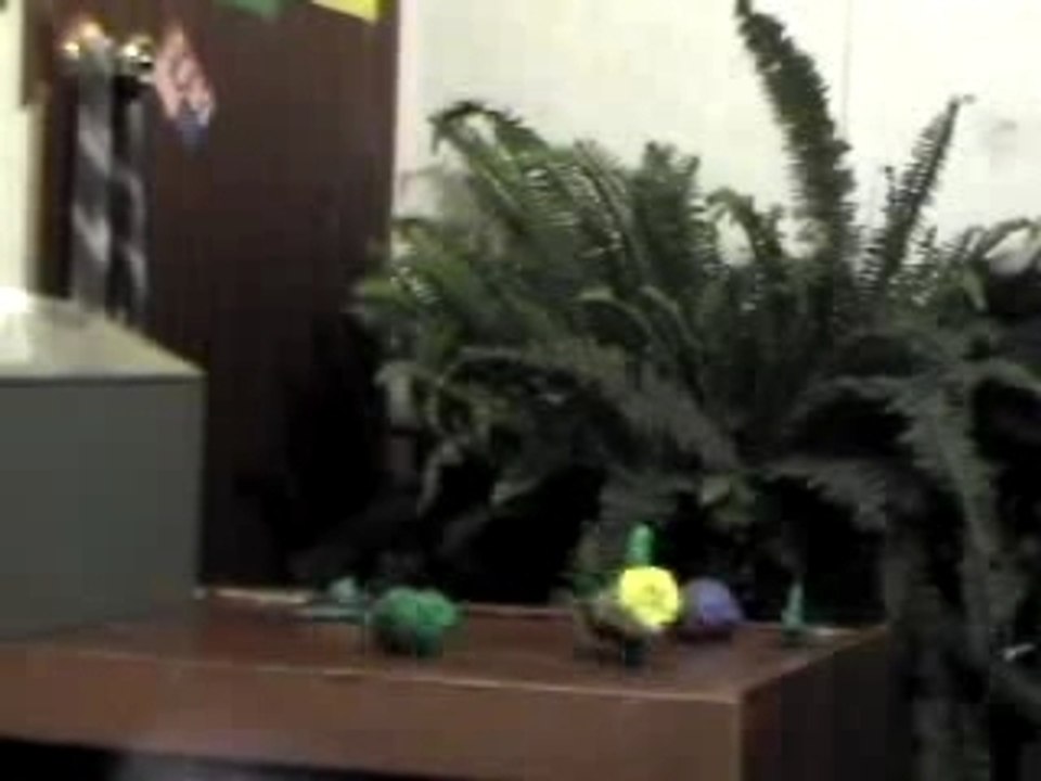 Random Claymation/Jasmine