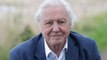 Take a Virtual Tour of the Great Barrier Reef With David Attenborough As Your Guide