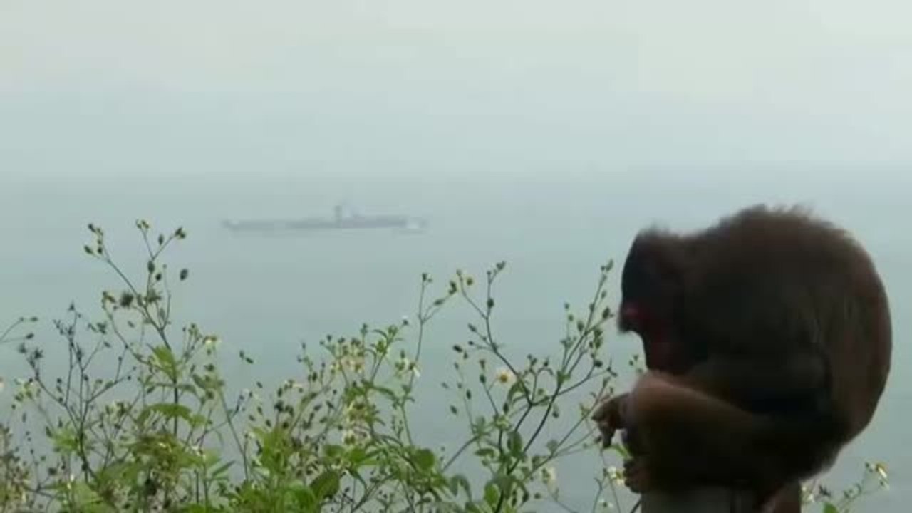 Al menos 70 marineros de un portaaviones de EE.UU han contraído el coronavirus