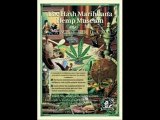 video sur plusieur sorte de hash   cannabis  weed hash