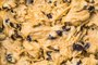 How to Upgrade Your Chocolate Chip Cookies, According to a Pastry Chef
