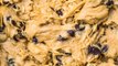 How to Upgrade Your Chocolate Chip Cookies, According to a Pastry Chef