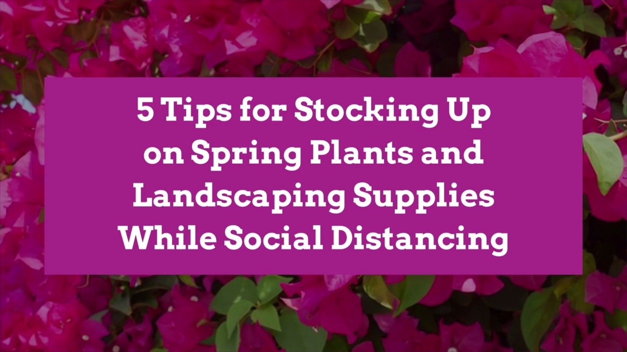 5 Tips for Stocking Up on Spring Plants and Landscaping Supplies While Social Distancing