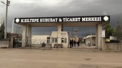 Güneydoğu'daki çiftçilerden "Milli Dayanışma Kampanyası"na destek