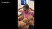 Heartwarming puppy love, girl in Utah is surrounded by puppies and kisses them all