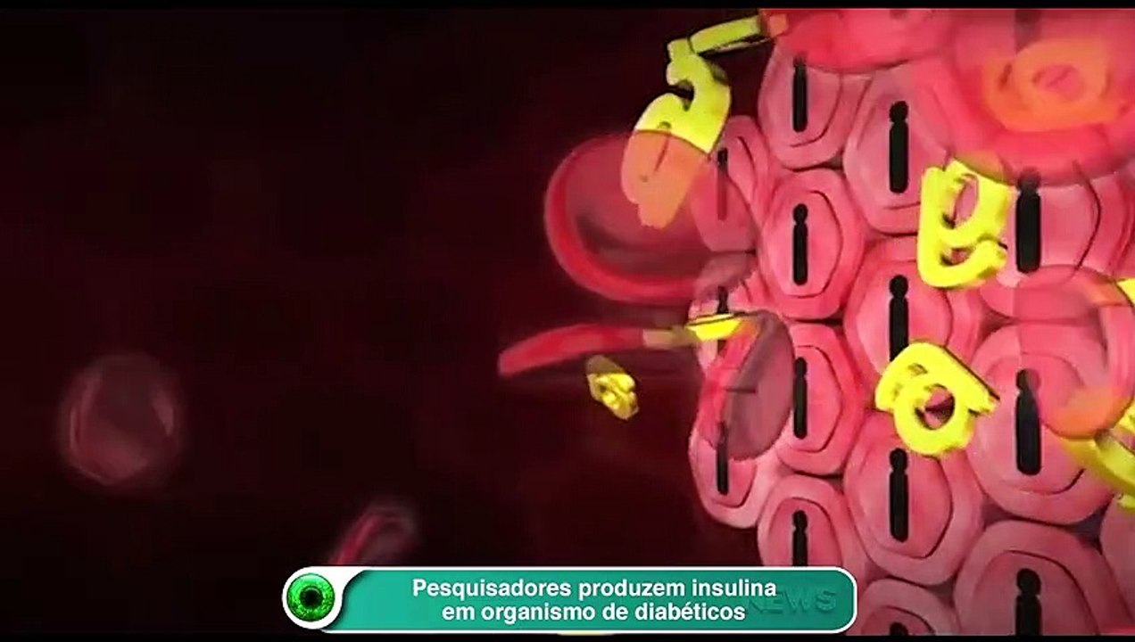 Pesquisadores produzem insulina em organismo de diabéticos