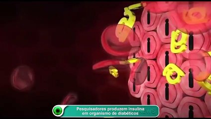 Pesquisadores produzem insulina em organismo de diabéticos