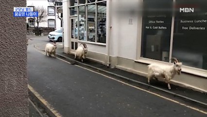 [굿모닝월드] 꿈같은 나들이