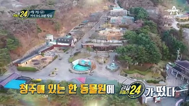 [예고] 심장이 뛴다! 동물 생명의 최전선을 가다