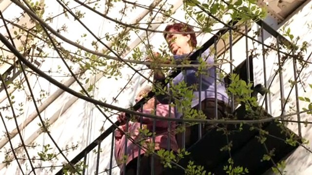 Los vecinos del Barrio León en Sevilla cantan a la Virgen de la Salud