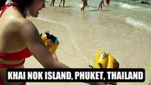 Khai Nok Island | Phi Phi Island | Phuket | Thailand