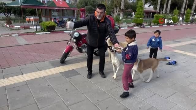 Zor günler yaşayan sokak köpeklerine mama desteği