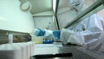 Son dakika: Teknoloji Bakanlığı, Kovid-19'a ilişkin aşı ve ilaç projesi geliştirmek için çalışmalara başladı