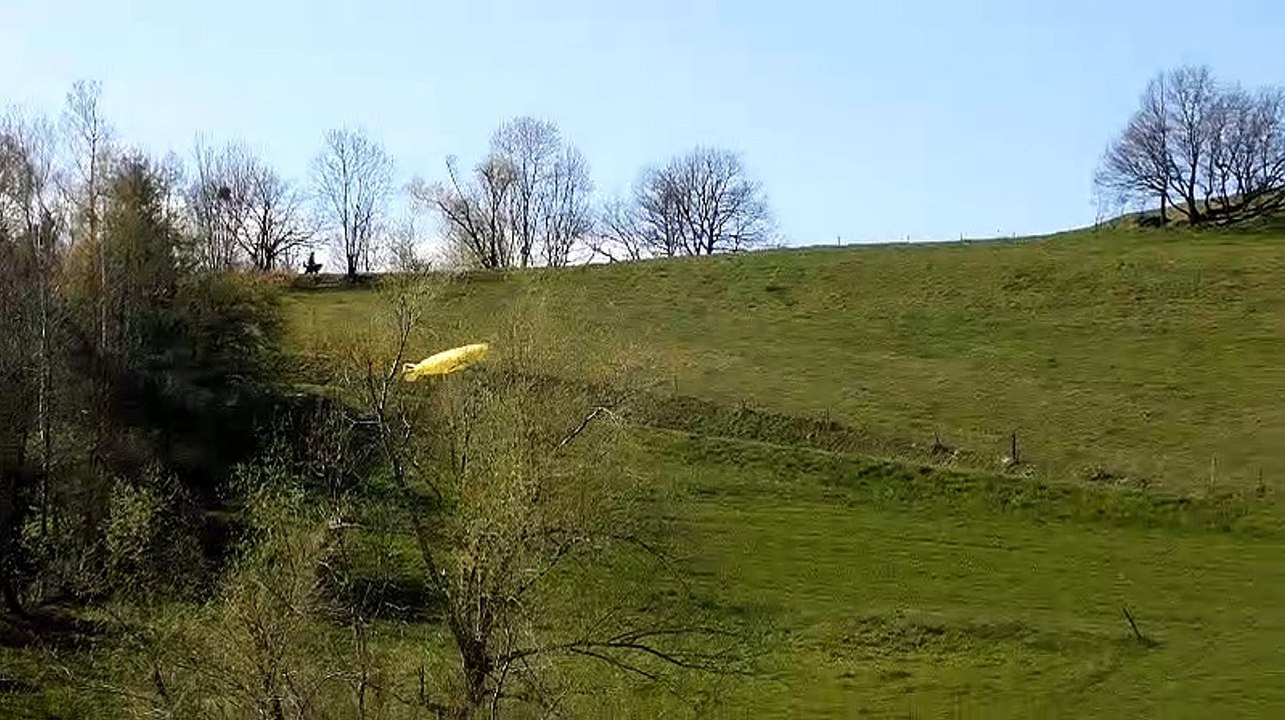 La Vache et le Poisson