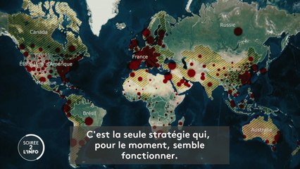 Persistance du coronavirus, retour cyclique, disparition : quels scénarios après l'épidémie ?