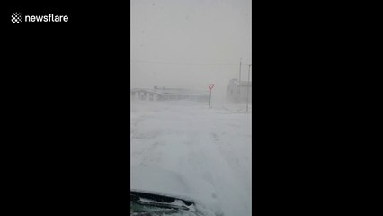 Heavy spring snowstorm leaves northern Norway blanketed