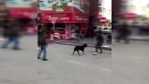 Sokakta kimseyi bulamadı, köpekle futbol oynadı