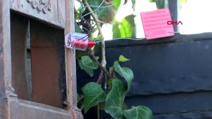 BÜYÜKÇEKMECE'DE TEPKİ ÇEKEN PARTİYİ DÜZENLEYEN KİŞİ KONUŞTU HERKESTEN ÖZÜR DİLİYORUZ -2