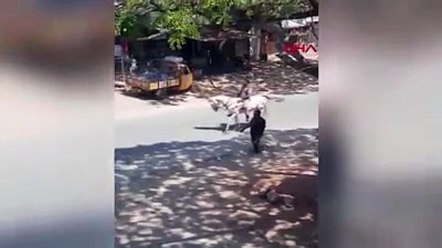 Koronavirüs | Hindistan polisi vatandaşları atın üzerine virüsün resmini çizerek uyardı